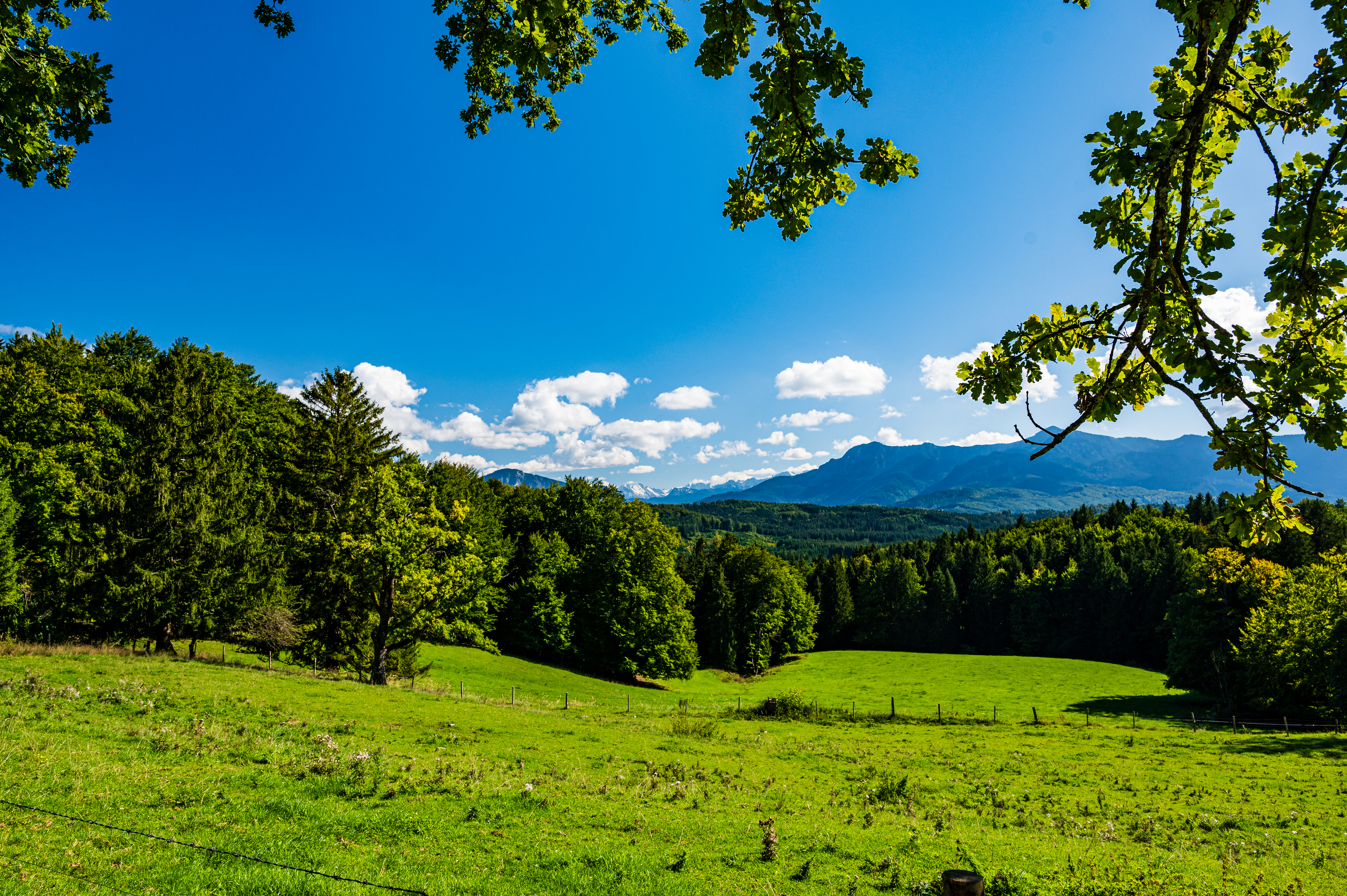 Wanderung Aidlinger Höhe